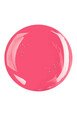 Vernis Concentré Réparateur Ongles - Repair + Shine - All Tigers