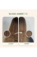 Coloration Végétale - Emblica - 7.3 - Blond Ambré